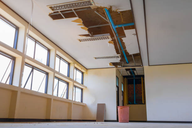 Best Flood damage cleanup  in Rosita, TX