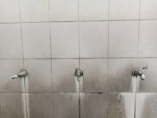 Best Mold removal after water damage  in Rosita, TX