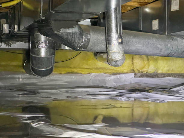 Best 24/7 water damage repair  in Rosita, TX