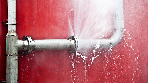Best Mold removal after water damage  in Rosita, TX